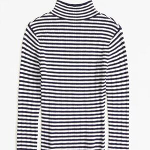 Slim Rib Turtleneck Sweater